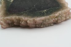 Cross Section of Mushroom Torumaline