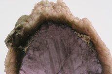 Cross Section of Mushroom Torumaline