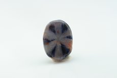 Trapiche Saphir Cabochon