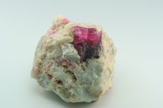 Bicolor Tourmaline in Matrix