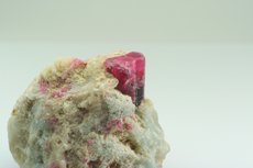 Bicolor Tourmaline in Matrix