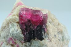 Bicolor Tourmaline in Matrix