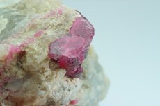 Bicolor Tourmaline in Matrix