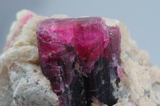 Bicolor Tourmaline in Matrix