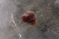 Quartz Inclusions with Spessartine Crystal