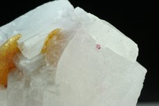 Chondrodite Crystal  in Matrix