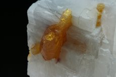 Chondrodite Crystal  in Matrix