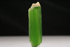 Fine single terminated Actinolite Crystal 