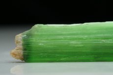 Fine single terminated Actinolite Crystal 
