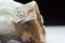 Phlogopit Kristall in Marmor