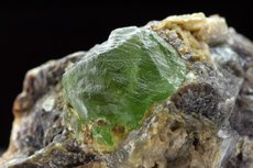 Feiner Peridot Kristall in Matrix