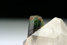 Bicolored Tourmaline on Quartz