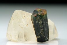 Bicolored Tourmaline on Quartz