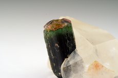 Bicolored Tourmaline on Quartz