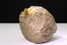 Rare Enstatite /Actinolite  in Matrix Burma