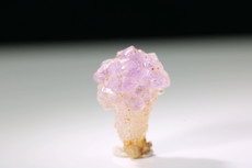 Zepter- Quarz Kristall Mogok