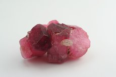 Pink/Red Tourmaline Cluster