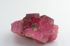 Pink/Red Tourmaline Cluster