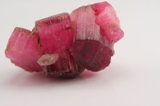 Pink/Red Tourmaline Cluster