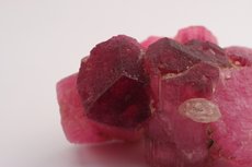 Pink/Red Tourmaline Cluster