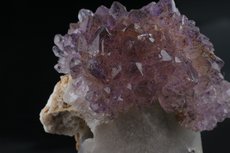 Amethyst Kristalle auf Quarz