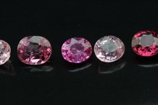 Pink Cut Rubellite Lot