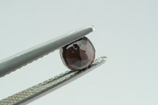 Faceted transparent Painite