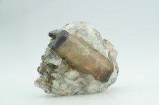 Moors Head Tourmaline Crystal Matrix