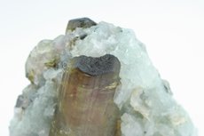 Moors Head Tourmaline Crystal Matrix