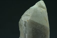 Phenakite Crystal in Matrix