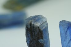 Gebogene Kyanit Kristalle