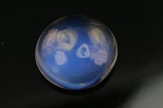 Feiner blauer Mondstein Cabochon