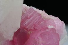 Pinkfarbige Turmaline Kristalle in Matrix