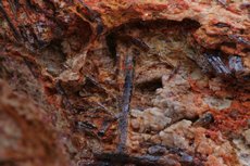 Fine Painite Crystals in Matrix