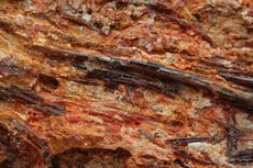 Fine Painite Crystals in Matrix