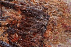 Fine Painite Crystals in Matrix