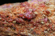 Fine Painite Crystals in Matrix