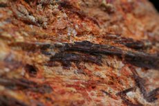 Fine Painite Crystals in Matrix