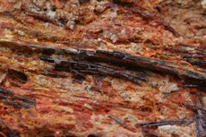 Fine Painite Crystals in Matrix