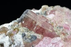 Moor's Head Tourmaline Crystals in Matrix