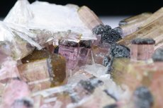 エルバイト / 白雲母  (Elbaite /  Muscovite)