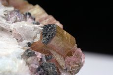 エルバイト / 白雲母  (Elbaite /  Muscovite)