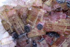 Moor's Head Tourmaline Crystals in Matrix