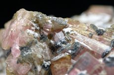 エルバイト / 白雲母  (Elbaite /  Muscovite)