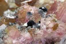 Moor's Head Tourmaline Crystals in Matrix