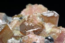 エルバイト / 白雲母  (Elbaite /  Muscovite)