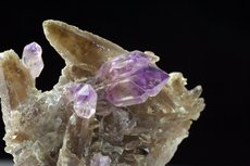 Top Amethyst Zepter Kristalle auf Rauchquarz