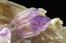 Top Amethyst Zepter Kristalle auf Rauchquarz