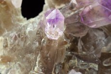 Top Amethyst Zepter Kristalle auf Rauchquarz