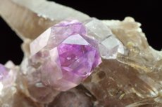 Top Amethyst Zepter Kristalle auf Rauchquarz